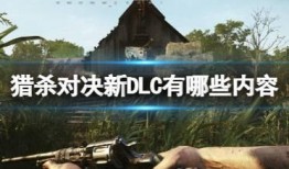 猎杀对决最新爆料,神秘势力浮出水面，巅峰对决即将上演！